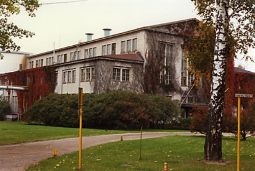 Kuva